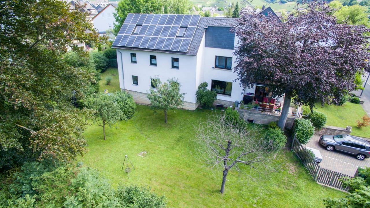 Ferienwohnung Moselblick برنكاستيل كويس المظهر الخارجي الصورة